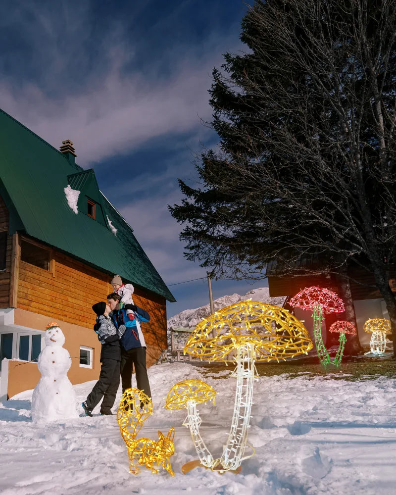 Alganic Light Mushrooms – two grown forms