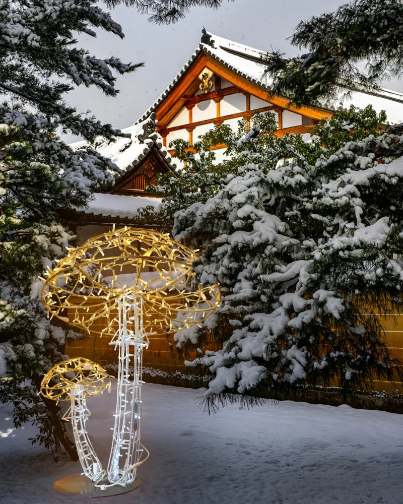 Alganic Light Mushrooms – two grown forms