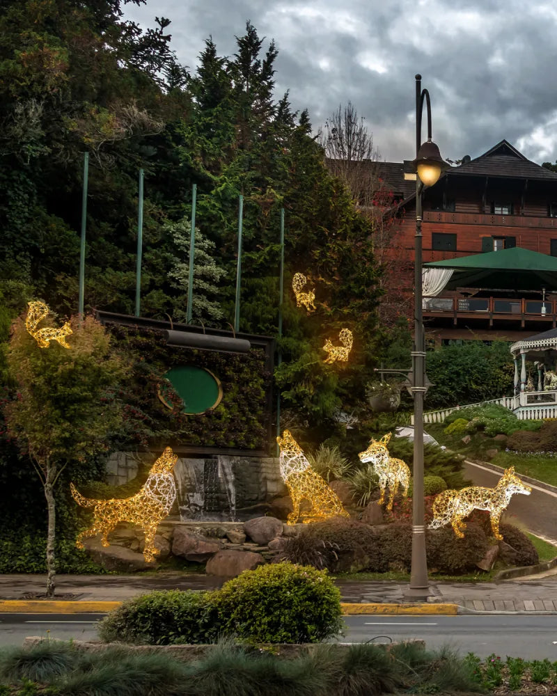 Alganic Wolf – light figure with presence and strength